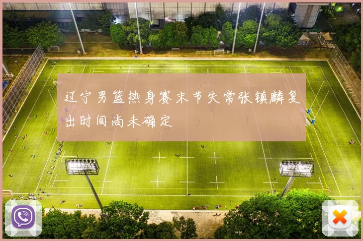 辽宁男篮热身赛末节失常张镇麟复出时间尚未确定